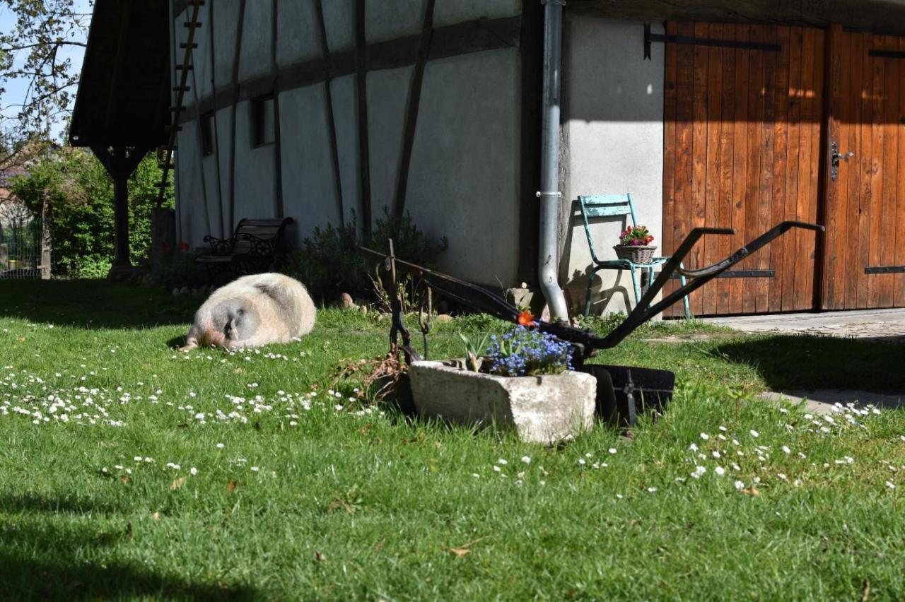 Gite De Peupliers Valdieu Exteriör bild